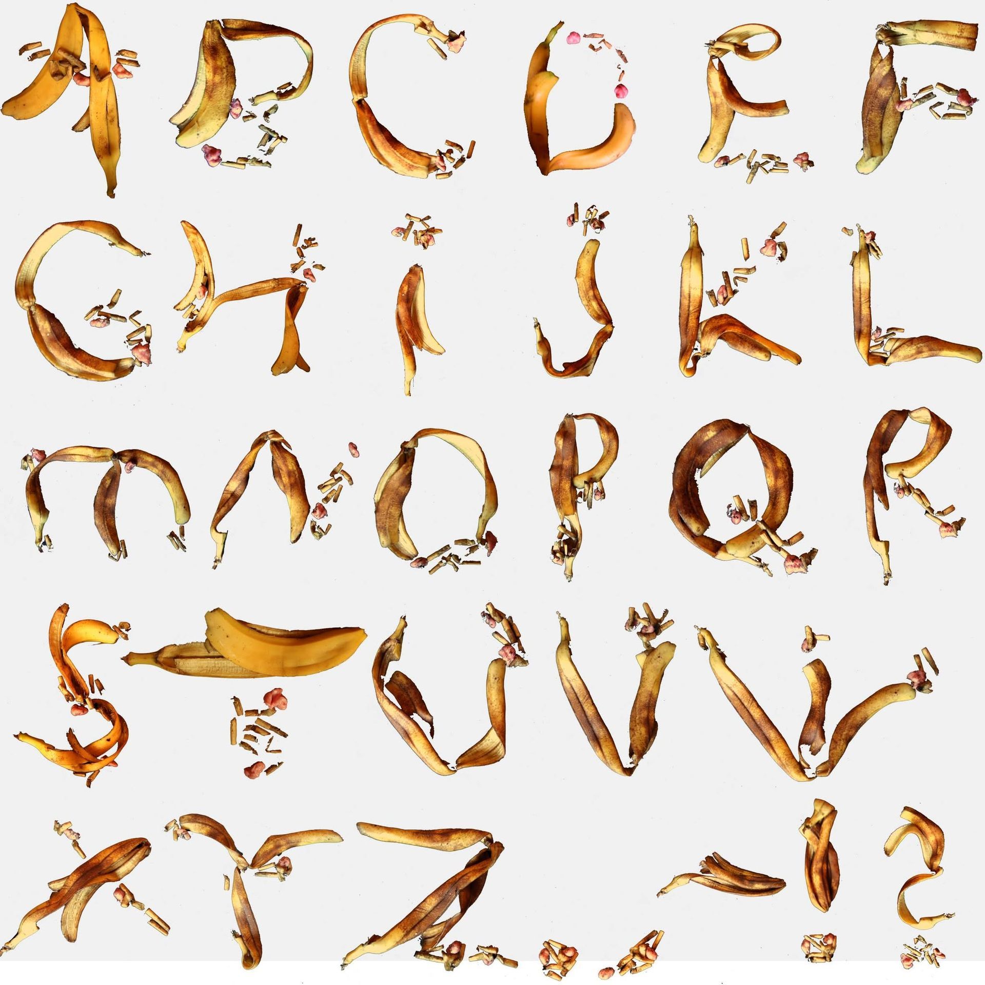 Home or Trassh Branding material