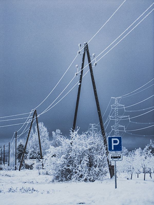 Winter Wonderland
