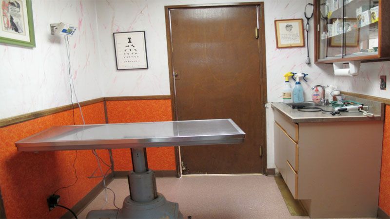 Large room — Bayonne, NJ — ANIMAL CLINIC OF BAYONNE