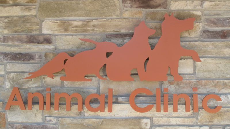 Animal clinic sign — Bayonne, NJ — ANIMAL CLINIC OF BAYONNE