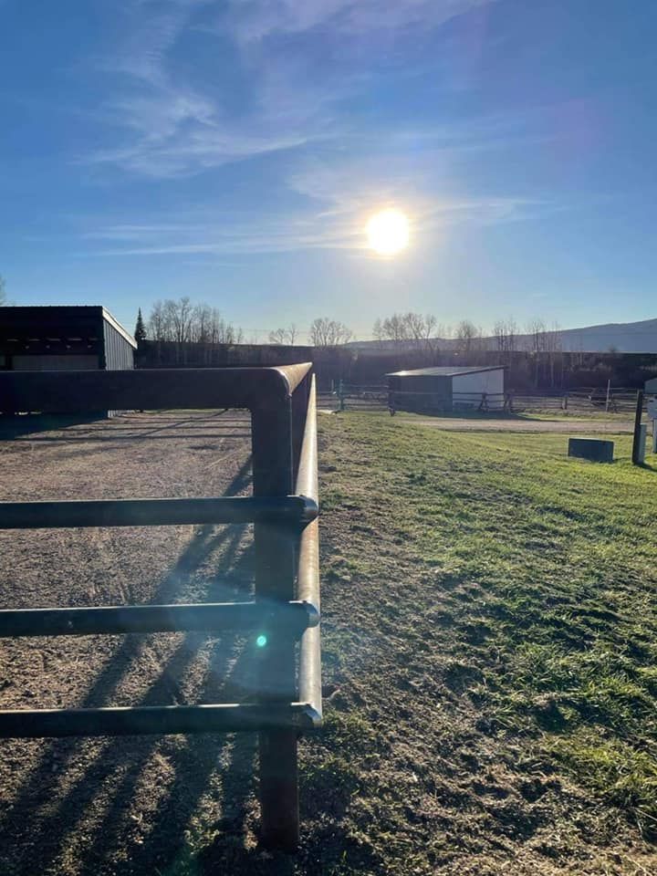 Sunny outdoor scene with a wooden fence in the foreground. Bright sun in blue sky, field, and distant buildings.