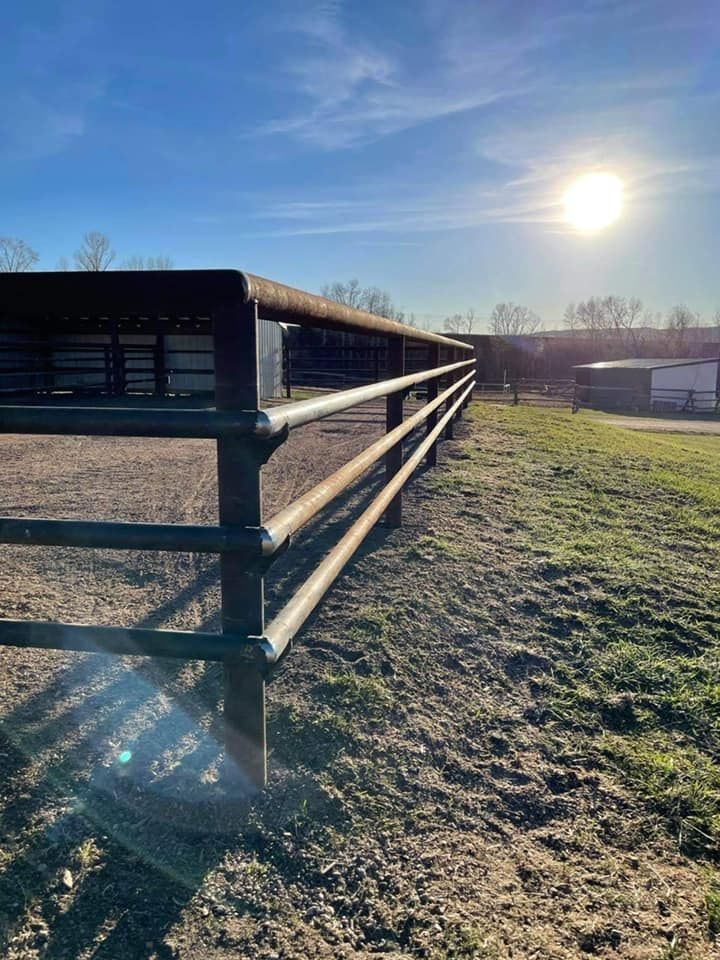 Metal fence in field with sun, blue sky and faint building in background.