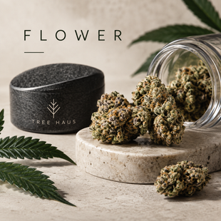 Cannabis flower buds displayed in a glass jar at Tree Haus Cannabis Boutique in Omaha