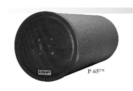 P-65 PENDANT SPEAKER™