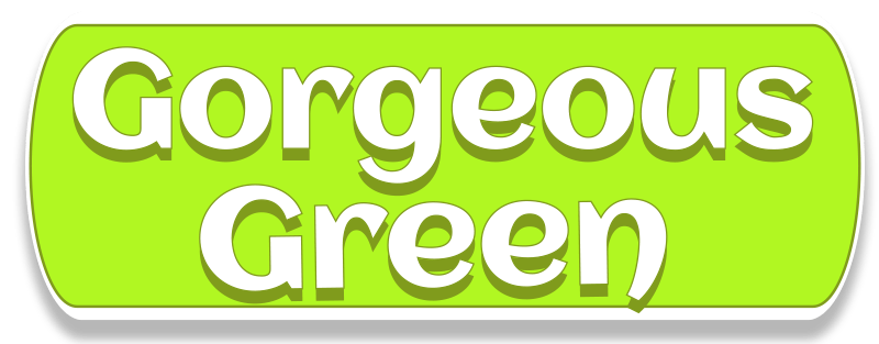 Gorgeous Green Car Wash icon