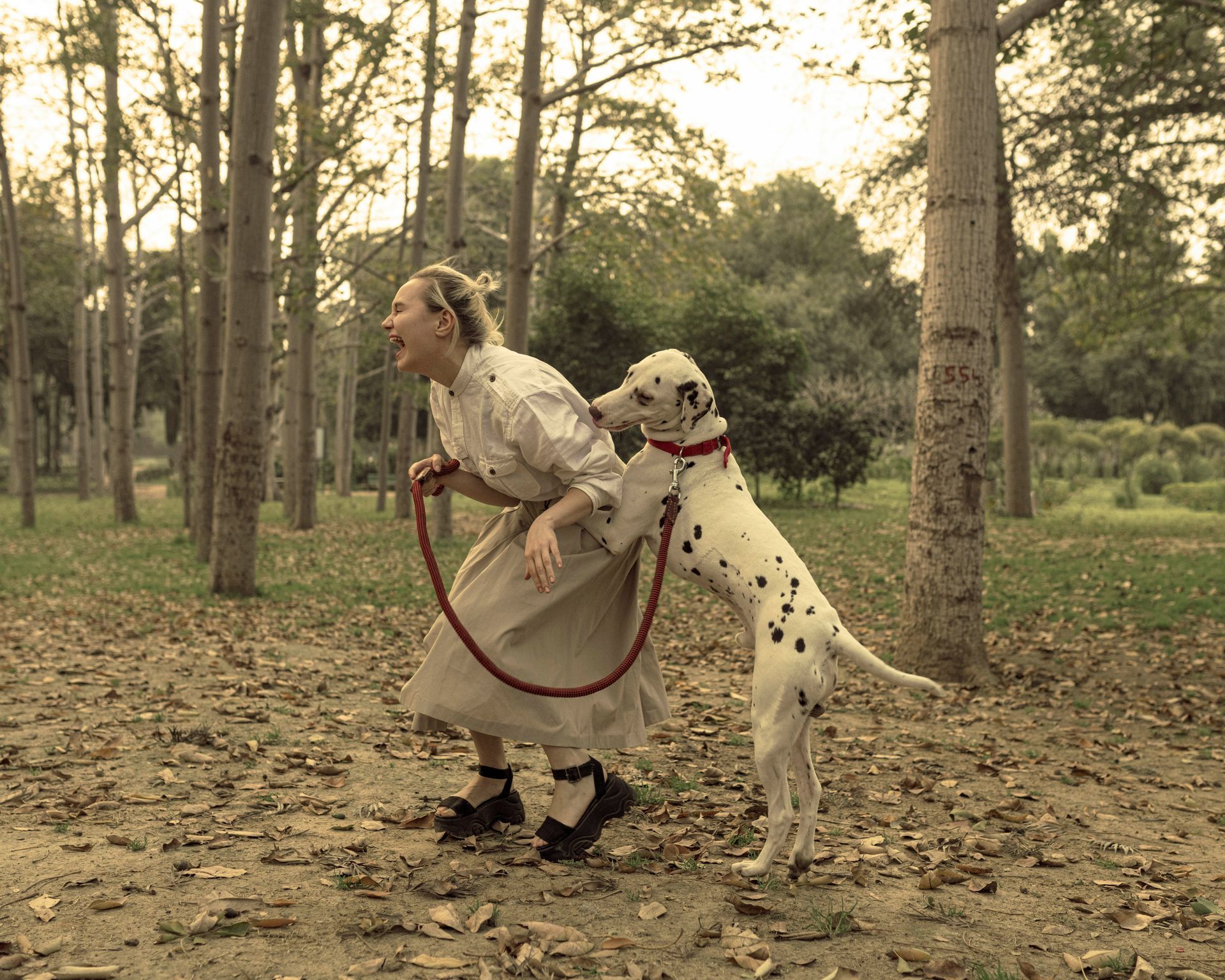 Learn why dogs listen to some people but not others. Improve your dog's behaviour with consistency.