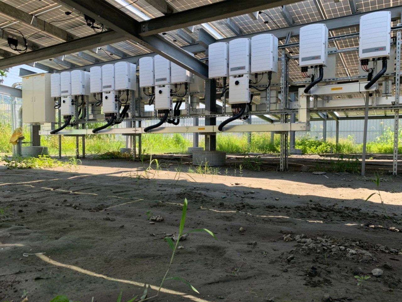 光電建置實績