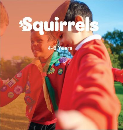 A poster for squirrels for 4-6 years