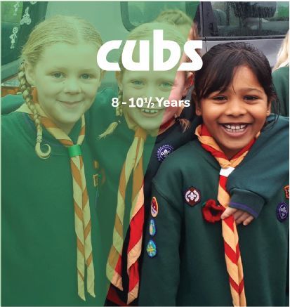 A group of cubs standing next to each other on a green background
