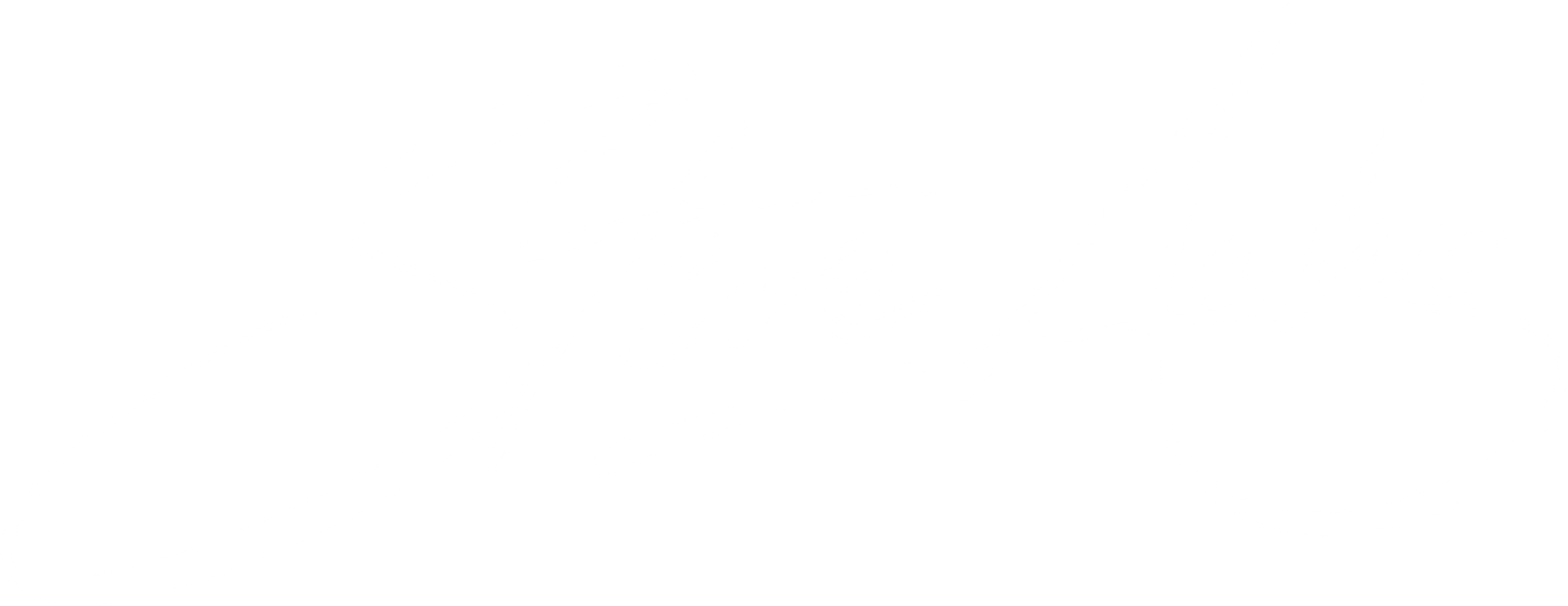 Steve Acho logo