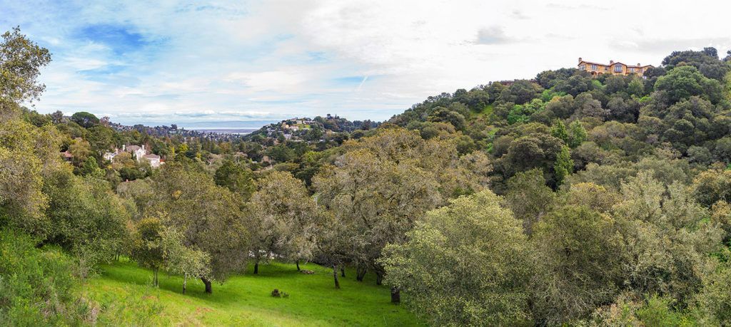 Rolling green hills and dense forest under a cloudy sky