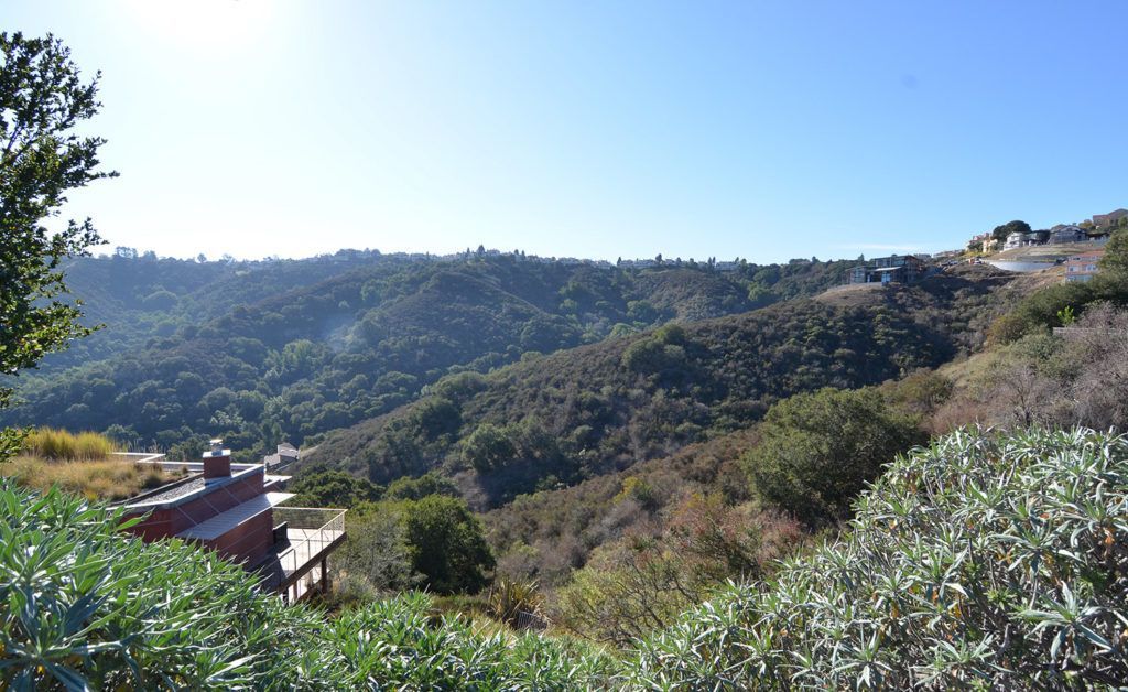 Sunny hillside valley with dense green trees, rooftops, and a clear blue sky