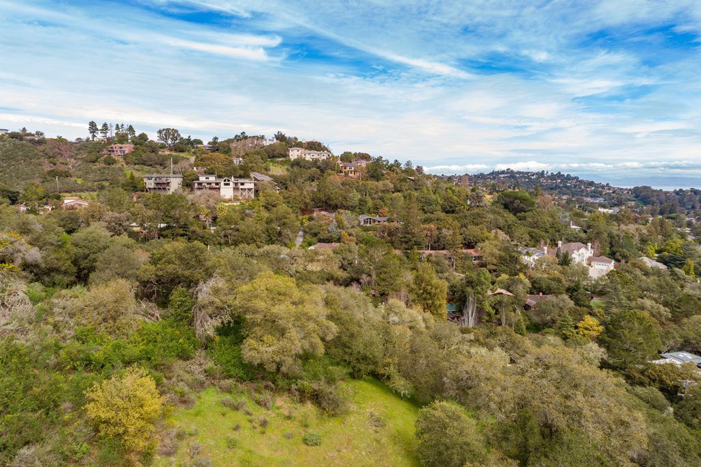 Tree-covered hillside with scattered homes under a blue sky