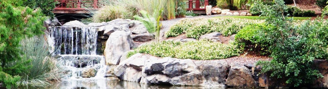 Beautiful garden with pond | Kiralee, QLD | Master Therapies Beautiful garden with pond | Kiralee, QLD | Master Therapies