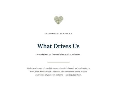 What Drives Us cover