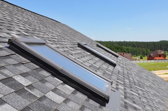 Three skylights on a gray shingle roof, under a blue sky, with trees in the background.