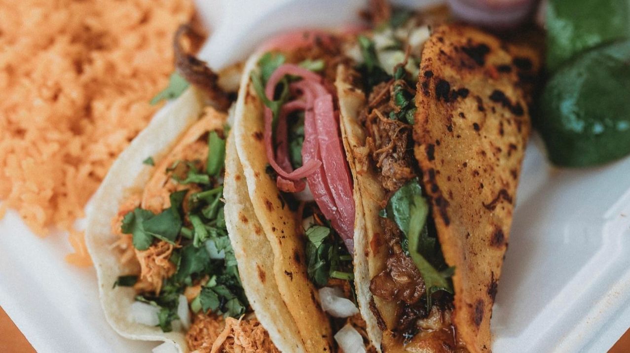 Three tacos with meat, cilantro, and onions on a white plate with rice.
