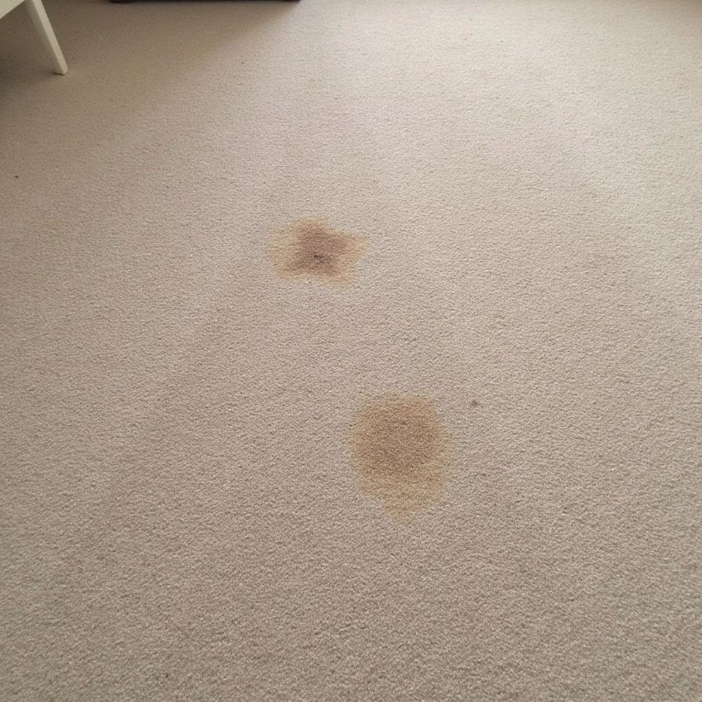 stain