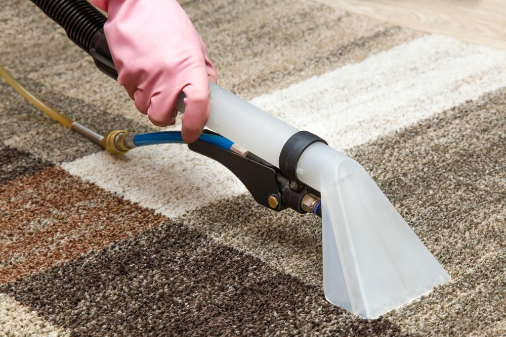 Person is Cleaning a Rug With a Vacuum Cleaner — Capital Ultimate Facility in Canberra, ACT