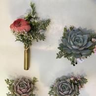 Four small succulent floral arrangements on a light background, including a gold vase and blue and pink blooms