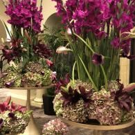 Purple orchid floral arrangements in decorative bowls on display indoors