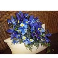 Blue flowers in a white pot on a woven chair seat