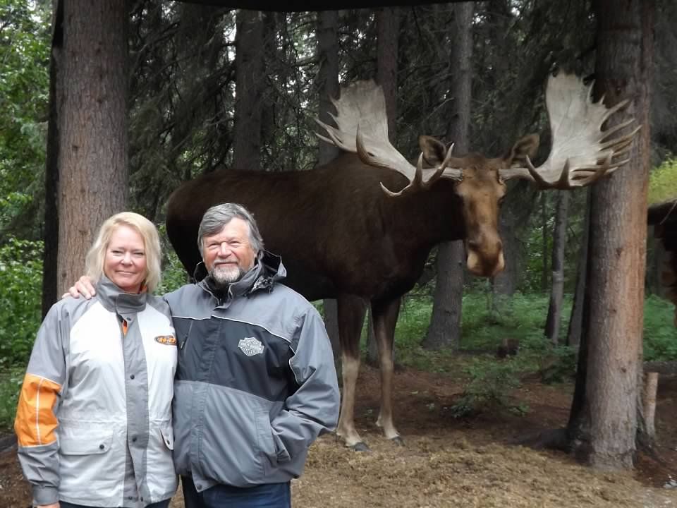 A couple poses with a large moose in a wooded area. The moose has large antlers and stands behind them.
