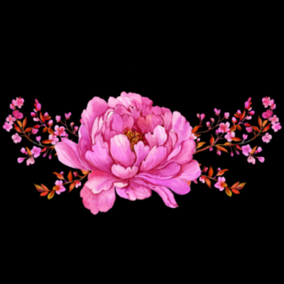 Pink peony and delicate pink blossoms on brown stems against a black background.
