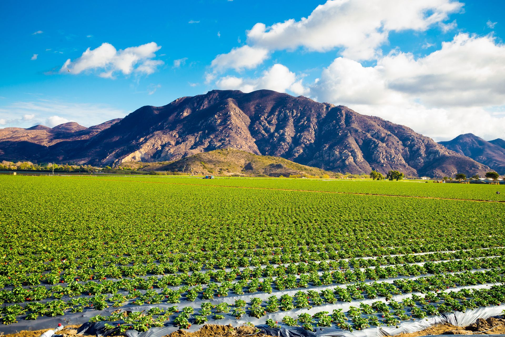 Camarillo