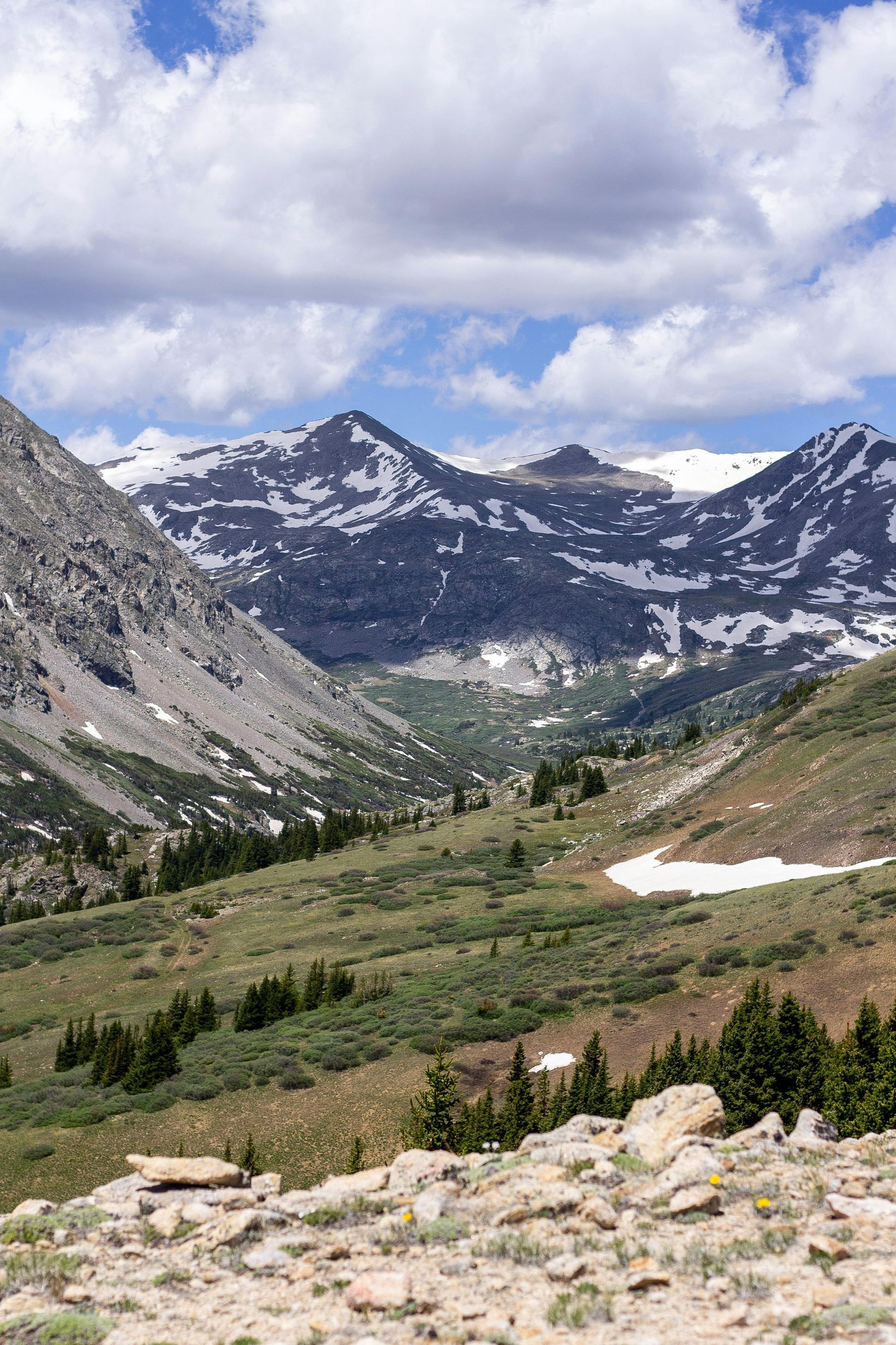 A valley with mountains in the background and trees in the foreground