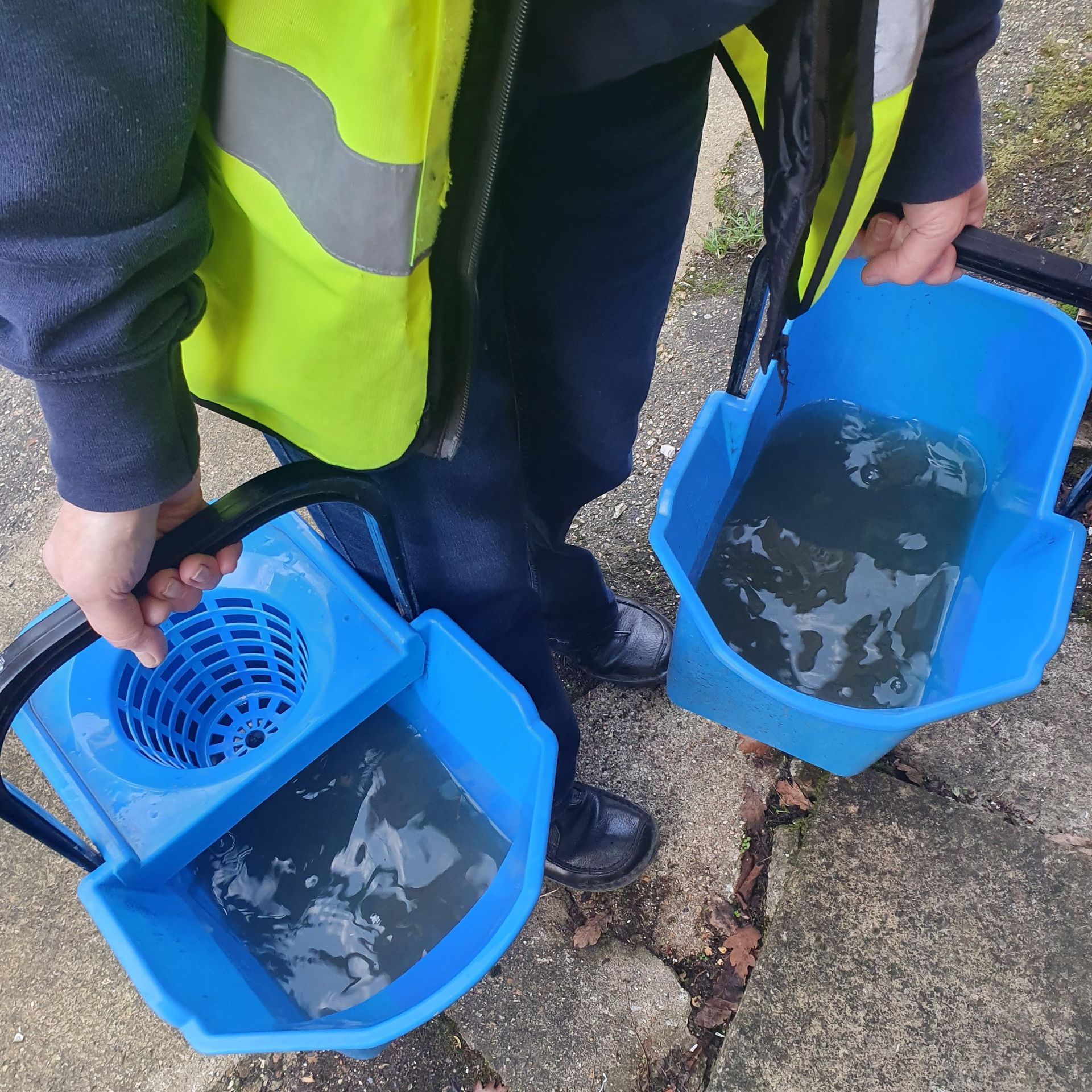Volunteer at Foxlease Park