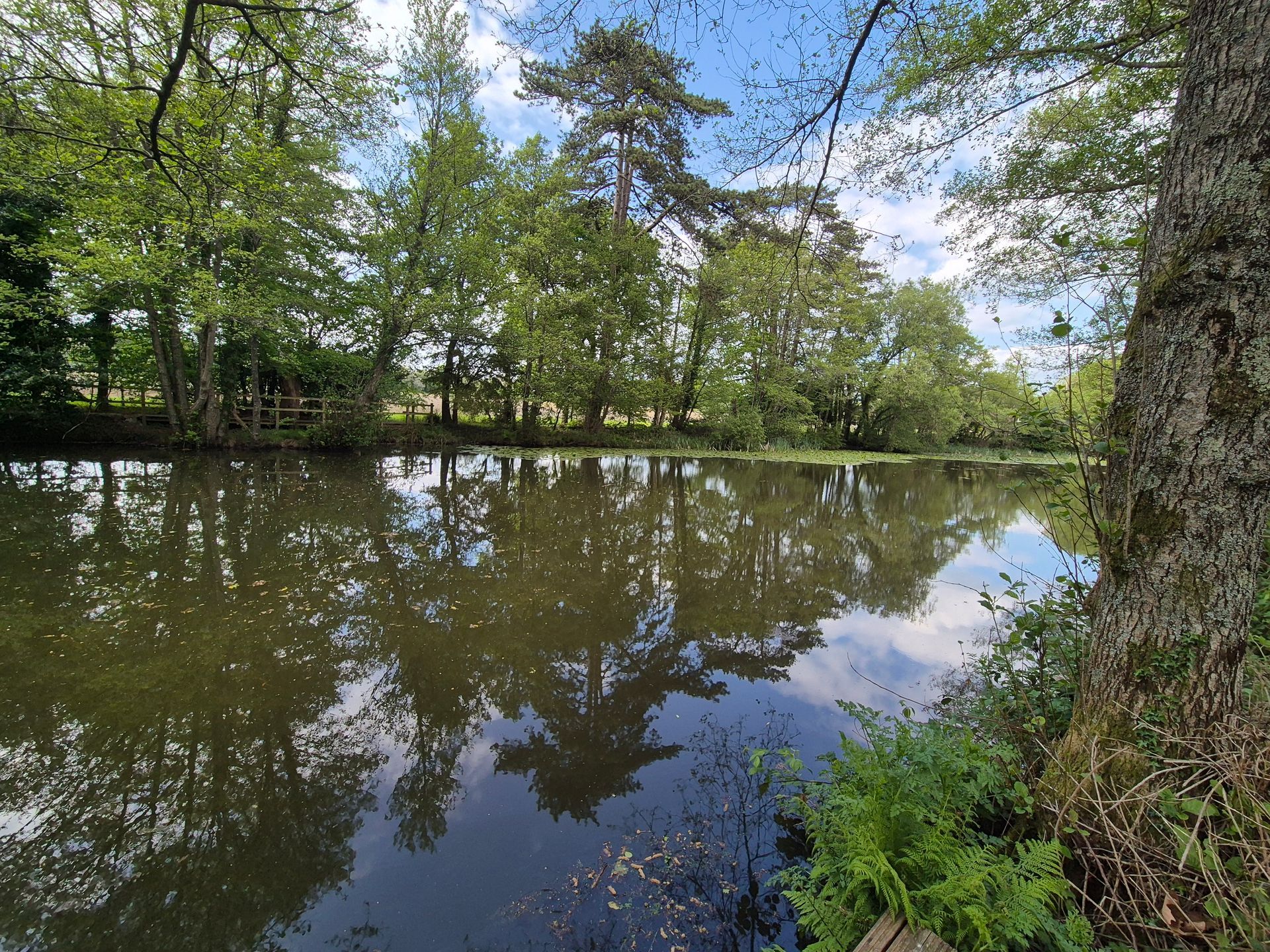 Foxlease Park Lake