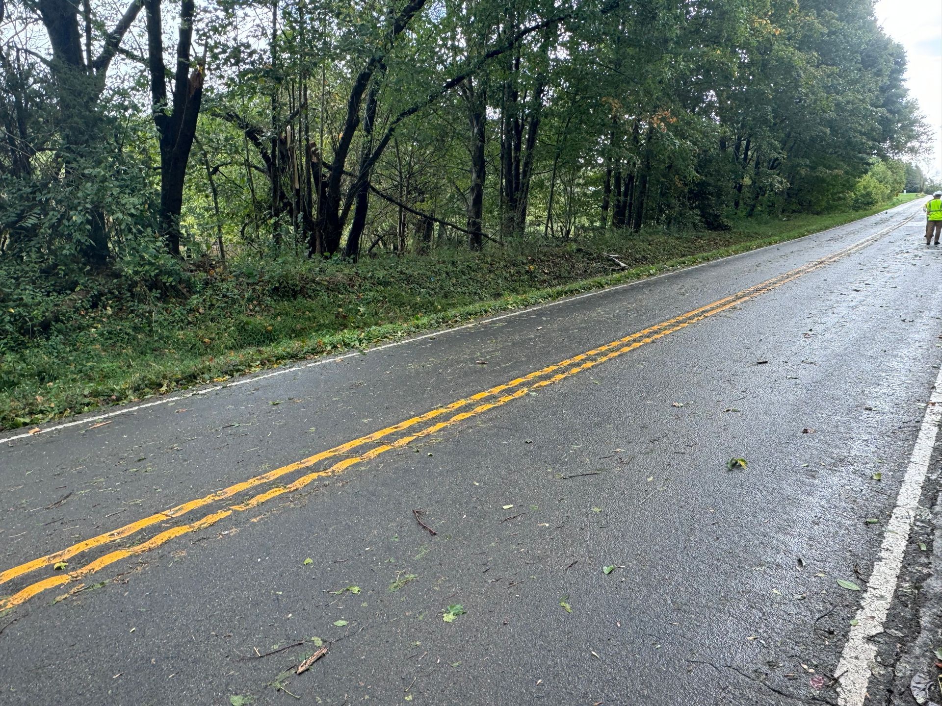 A wet, two-lane rural road covered in scattered leaves, bordered by dense trees under an overcast sky.