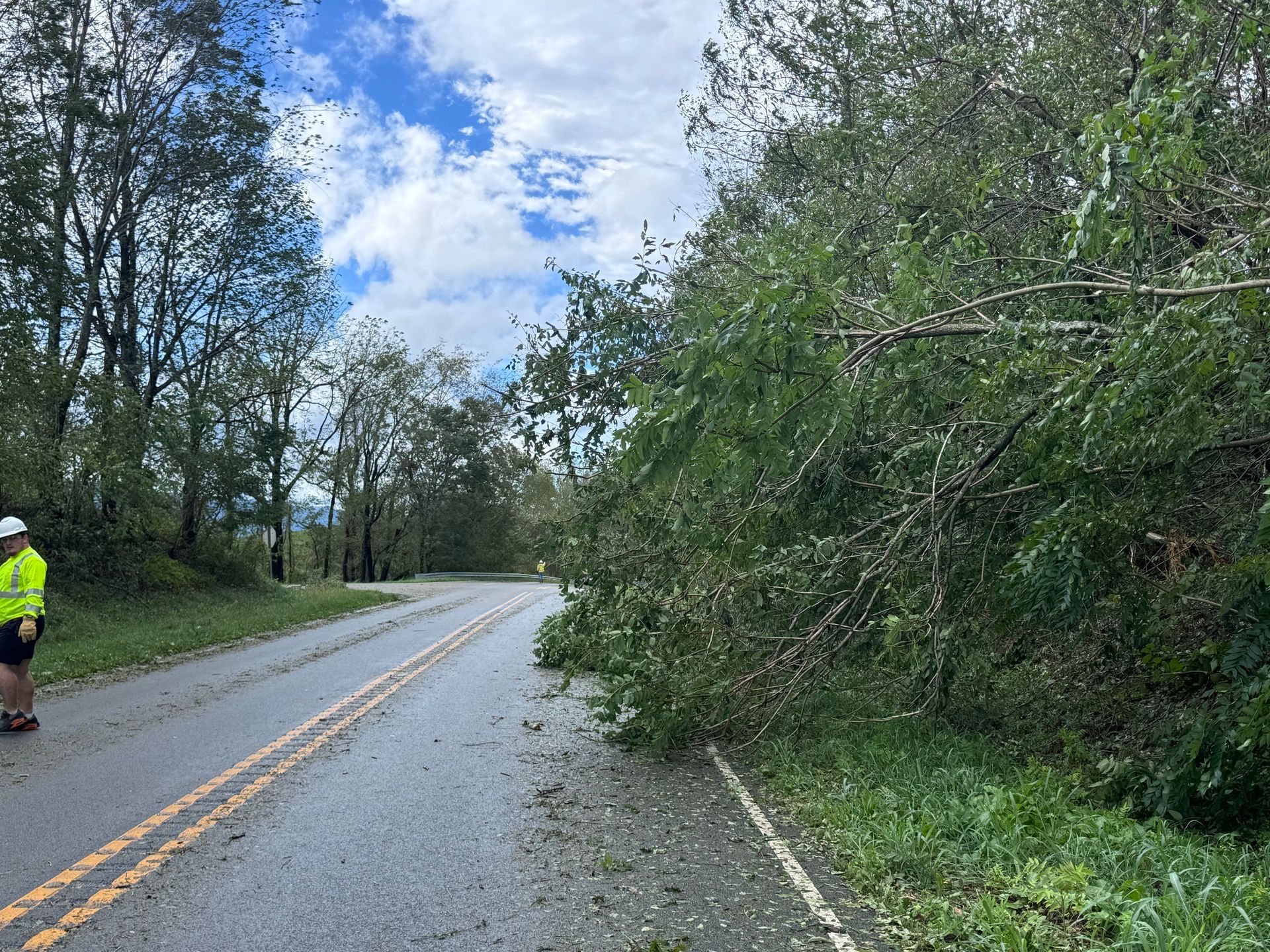 A fallen tree blocks part of a paved road with double yellow lines, as an individual in a yellow vest looks on.