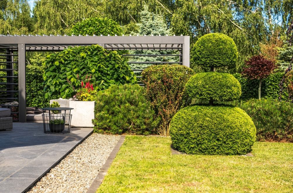 A sunny garden patio with a pergola, a topiary shrub shaped like three stacked spheres, and a manicured lawn.