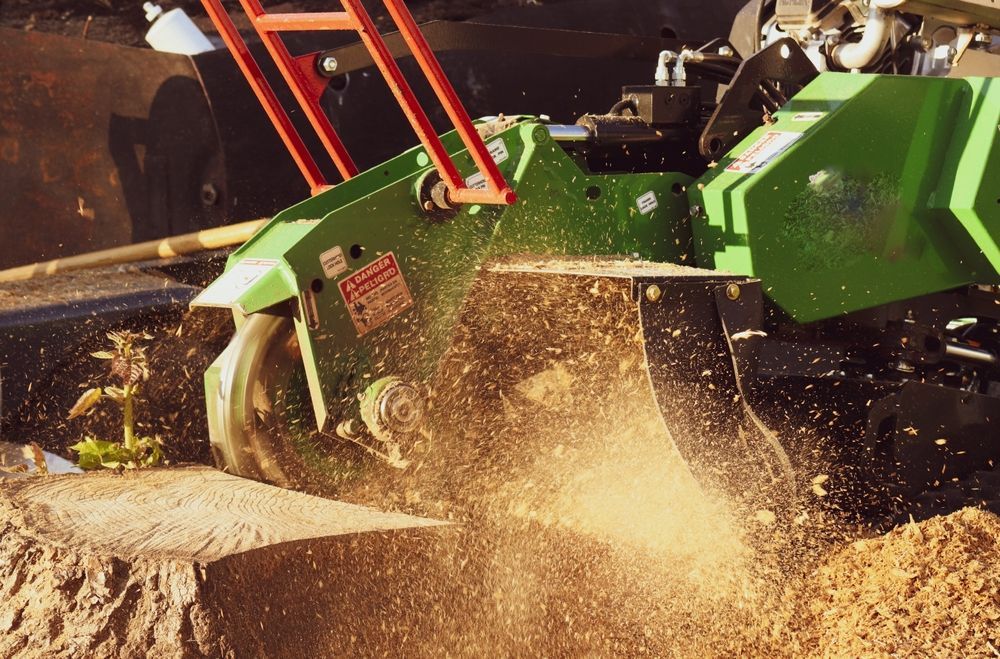 A green stump grinder cuts into a tree stump, creating a cloud of wood chips.