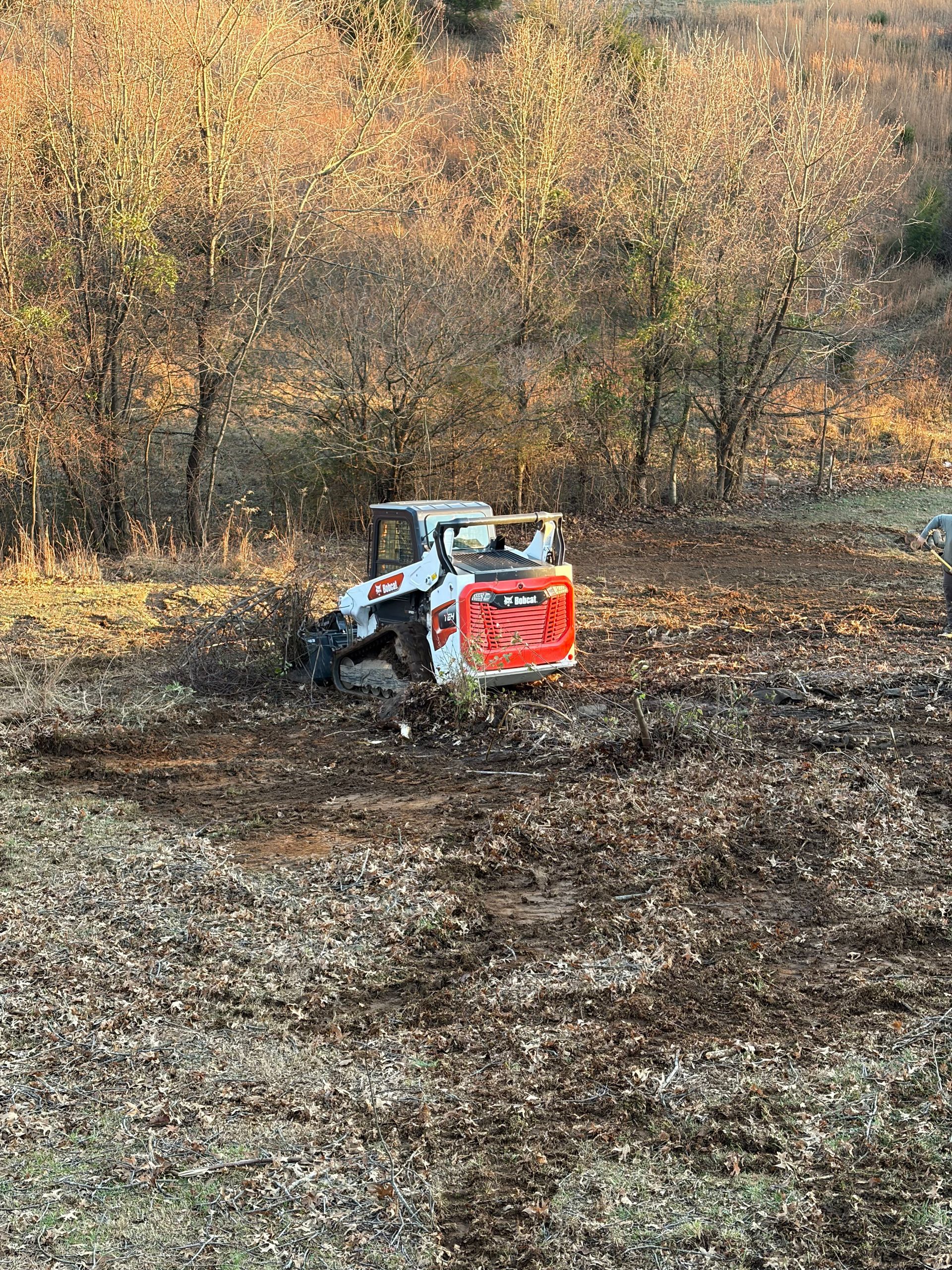 A white and red skid-steer loader clears brush and turns up soil in a wooded area during late autumn.