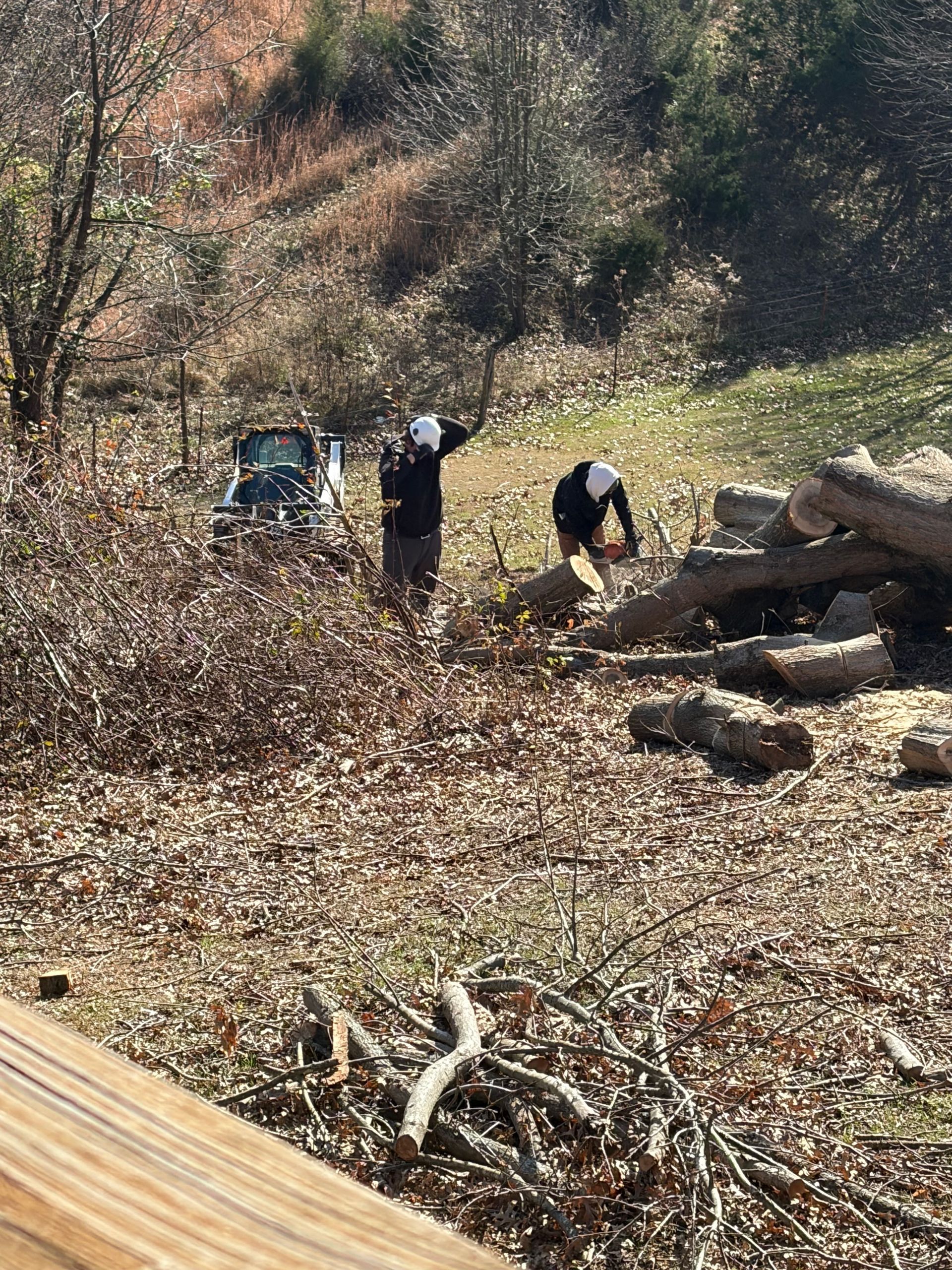 Two workers use chainsaws to clear cut timber in a sunny, wooded area near a small piece of machinery.