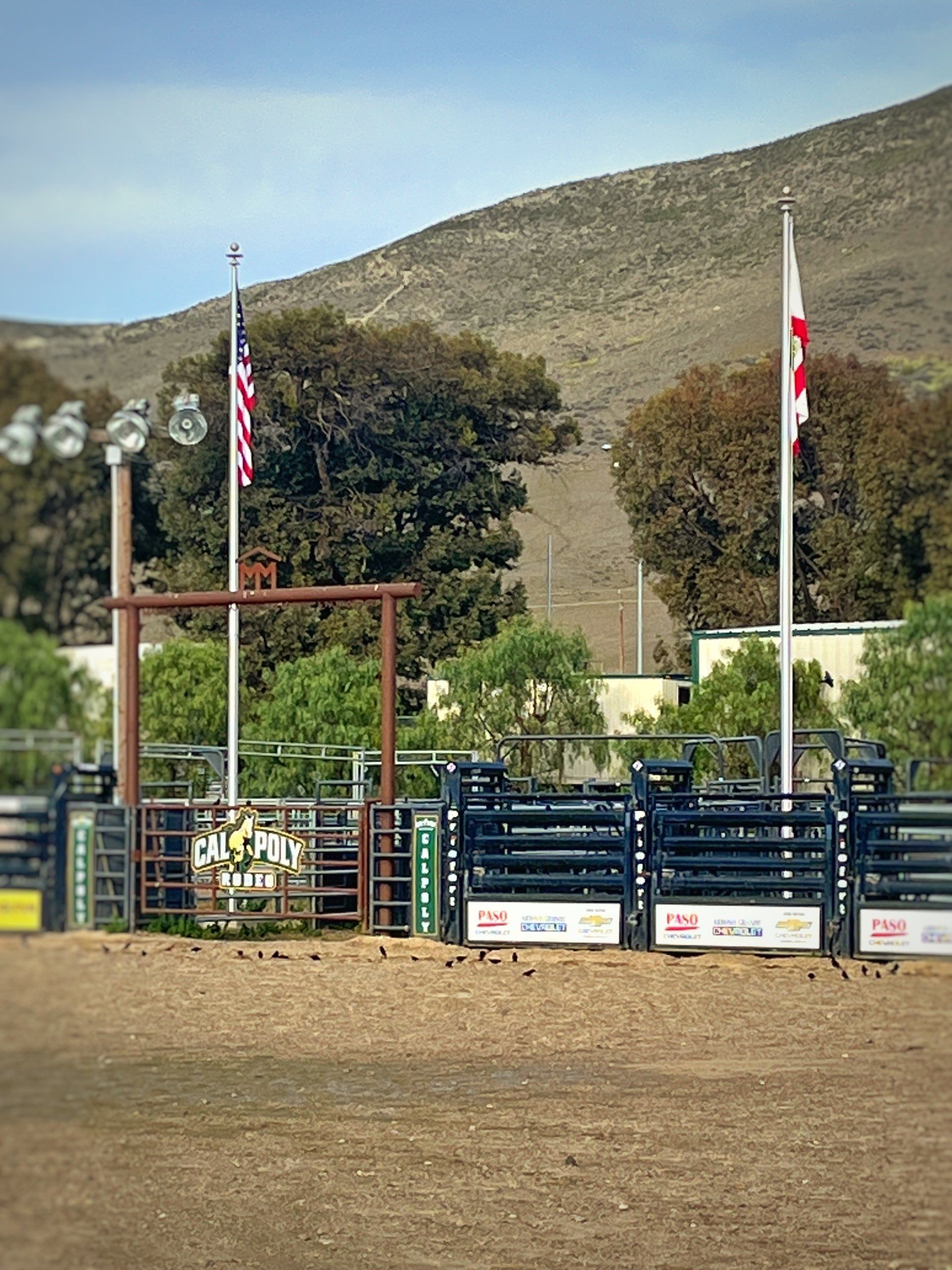 Rodeo arena with bucking chutes, flags, and a mountain in the background under a blue sky.