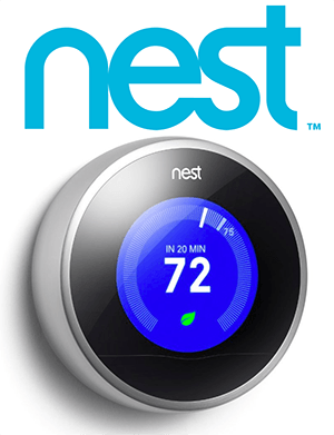 Nest