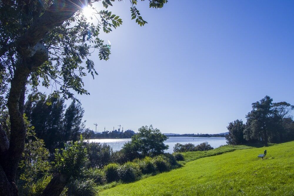 The Sun Is Shining Through The Trees On A Sunny Day — Affordable Underpinning Solutions In Nowra, NSW