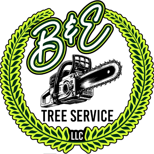 Logo: B&E Tree Service, a chainsaw within a green laurel wreath.