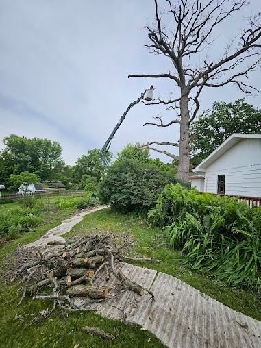 Pathway along a body of water, leading to a white house. Dead tree with a bird perched on a branch.
