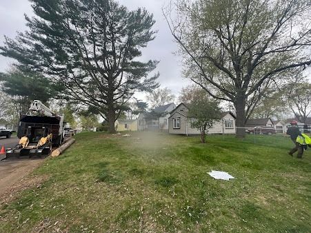 Tree removal in progress; a truck with a lift and worker on grass near homes. Overcast sky.