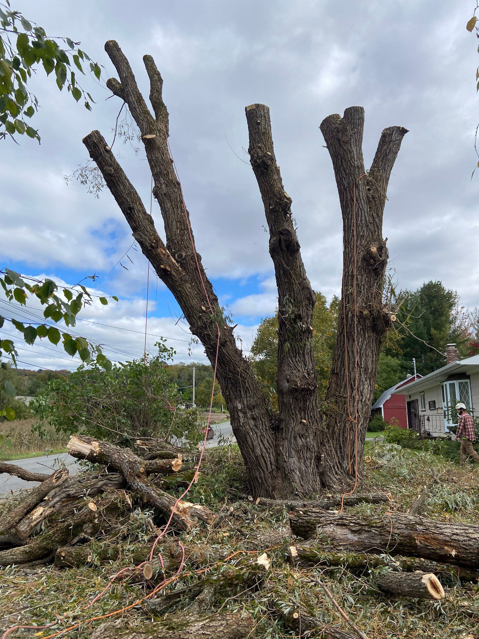 NEK Tree Workz during a tree removal that was too close to a residence 