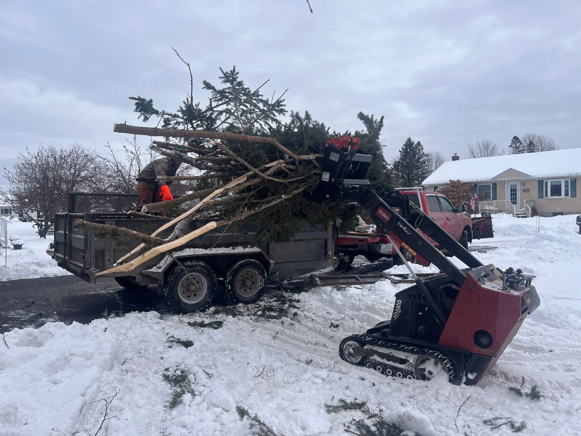 NEK Tree Workz cleaning up after a tree was safely removed
