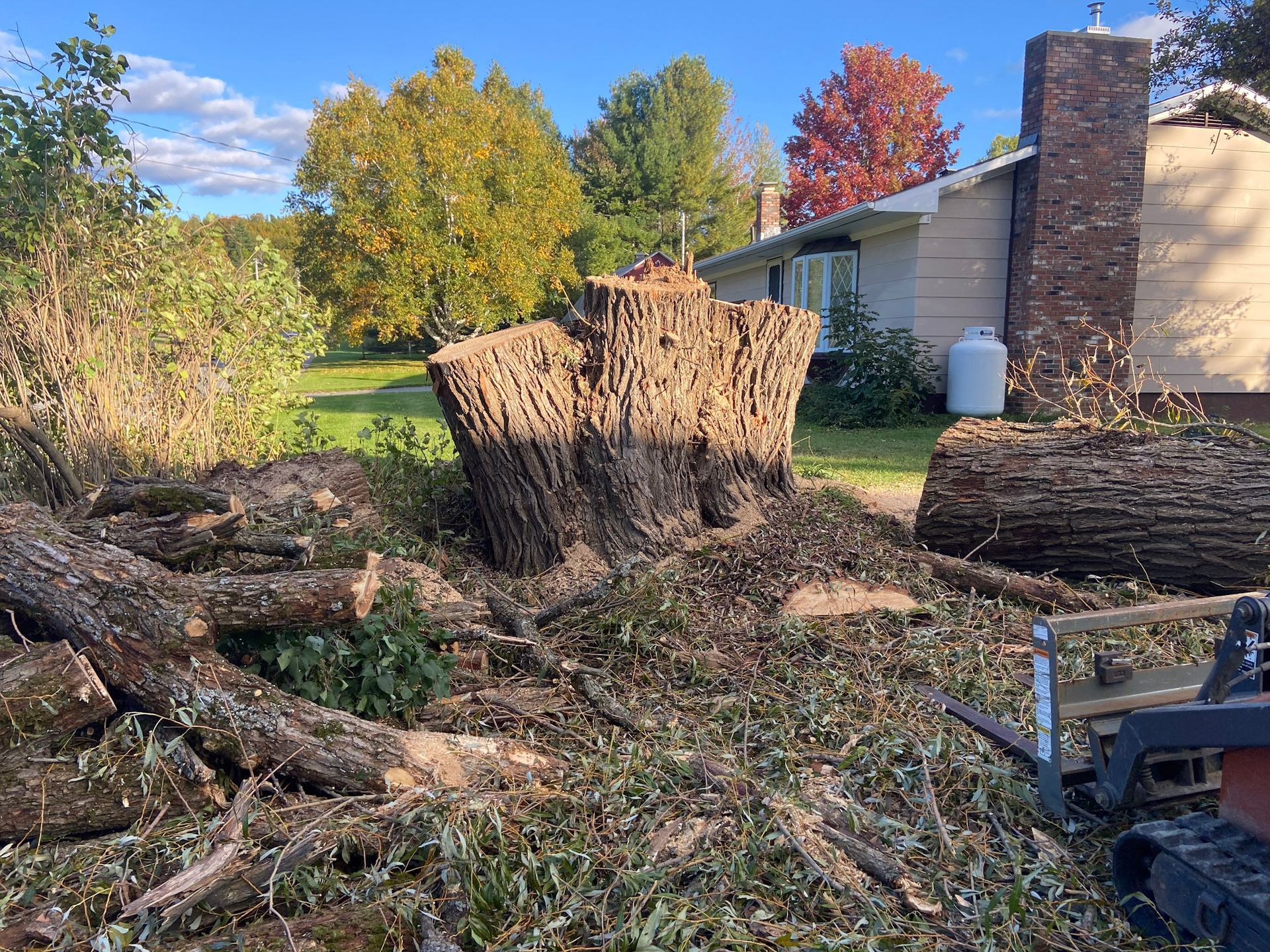 NEK Tree Workz after photo of a tree that needed removing