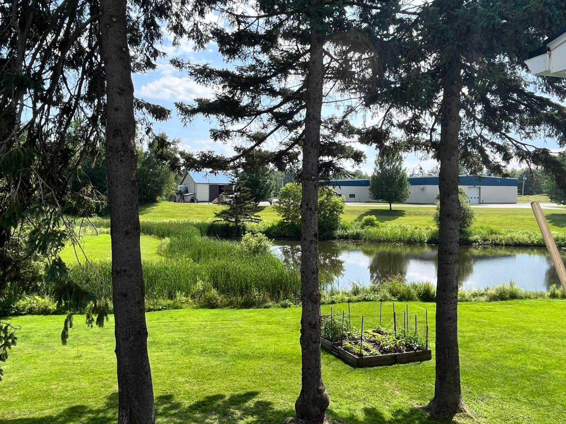 NEK Tree Workz view clearing to a beautiful pond