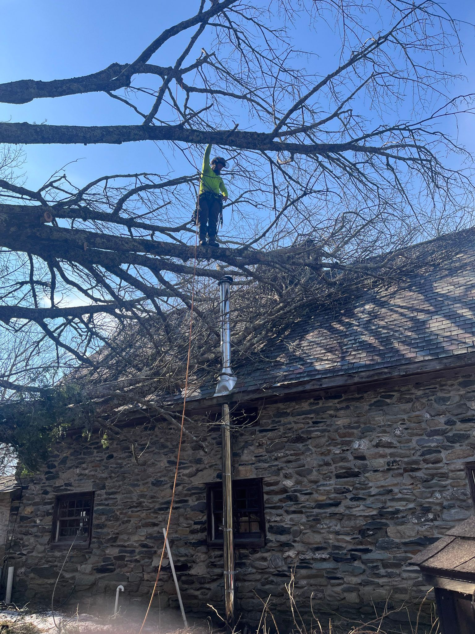 NEK Tree Workz trimming branches that are leaning on a roof