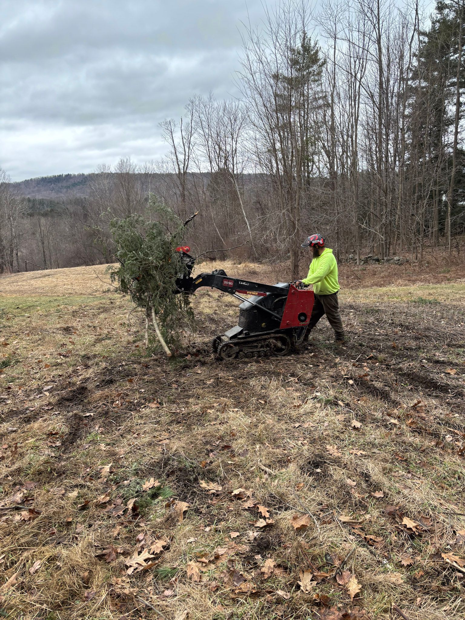 Josh cleaning up tree branches from a recent removal job